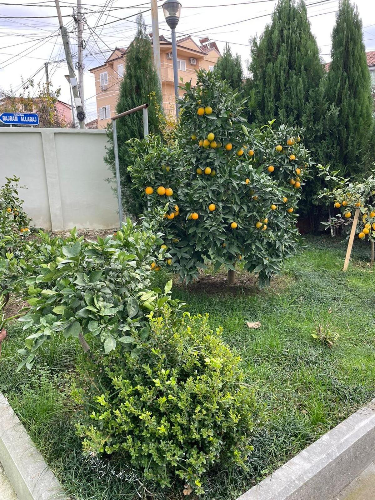 Kevi 'S Place Tirana Exterior foto